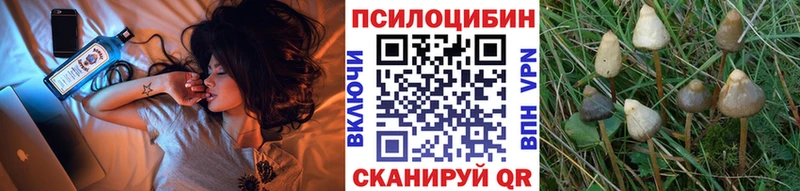 Псилоцибиновые грибы Magic Shrooms  Ленинградская 
