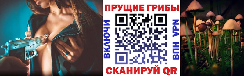 Псилоцибиновые грибы Psilocybe Ленинградская